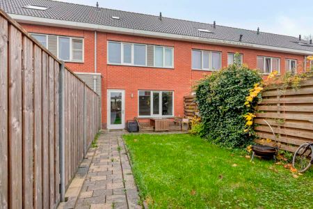 Meidoorn, Millingen aan de Rijn, Nederland - Photo 5