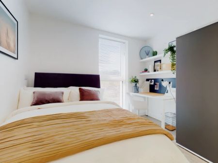 Deluxe Plus Studio - Photo 4