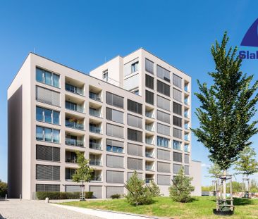 Pronájem bytu 1+kk a garsoniéry 45 m², Breitfeldova 709, Praha Karlín - Photo 3