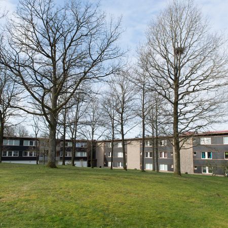 Ekgården 22 - Photo 4