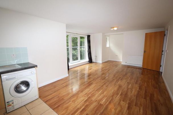 4 Glenmount Manor, Newtownabbey, BT36 7RH - Photo 1