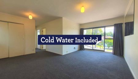 Spacious One Bedroom Apartment - Photo 3