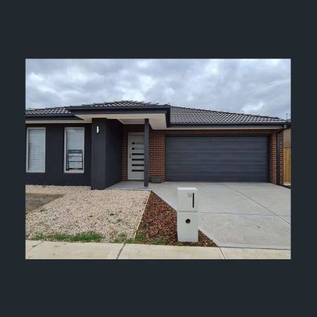 Stylish Family Living in Tarneit - Photo 4