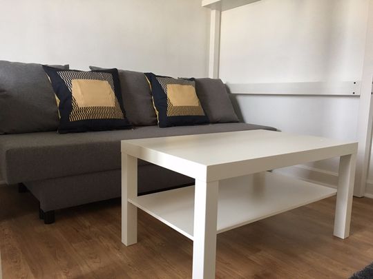 Location Appartement 1 pièce 20m² REIMS 51100 - Photo 1