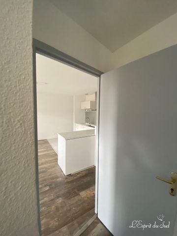 Location Appartement 2 pièces 38m² RABASTENS 81800 - Photo 3