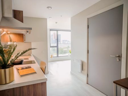 Premium Accessible Studio - Photo 3