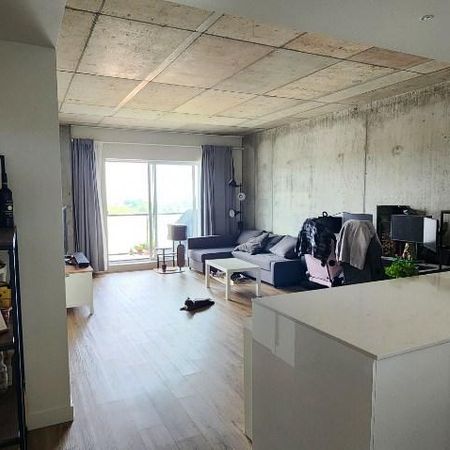 3½ à louer avec superbe vue! - Photo 4
