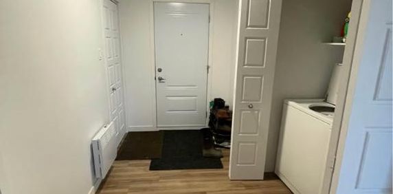 Grand appartement 3 chambres et 2 salles de bain - Photo 2