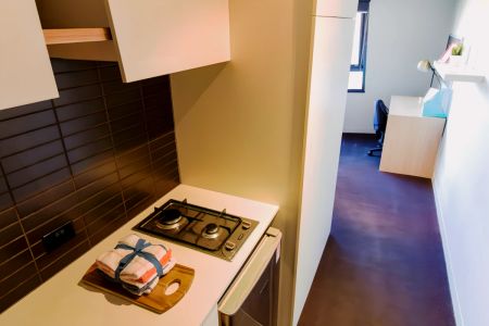 Large North Studio - Photo 4