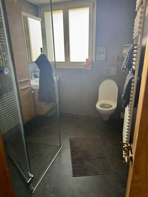 6-ROOM HOUSE IN MÜNSINGEN (BE), FURNISHED, TEMPORARY - Photo 1