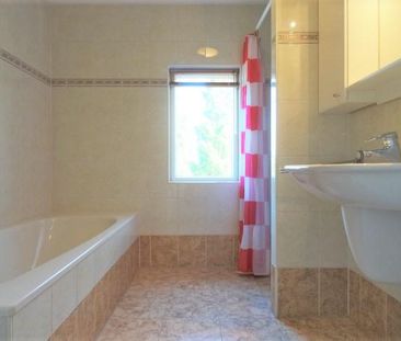 Walter Kollolaan - Photo 5