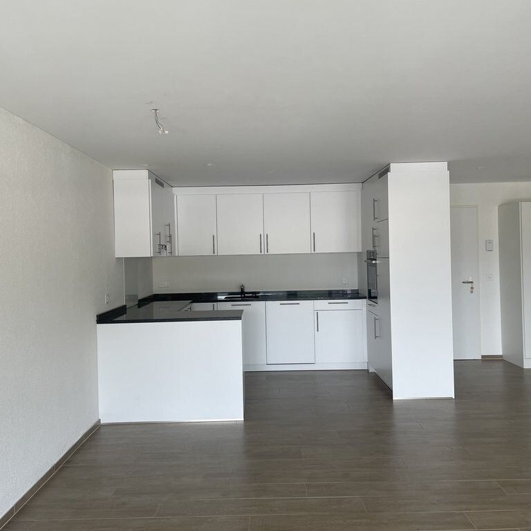 Helle und moderne Attikawohnung im Herzen von Menziken - Photo 1