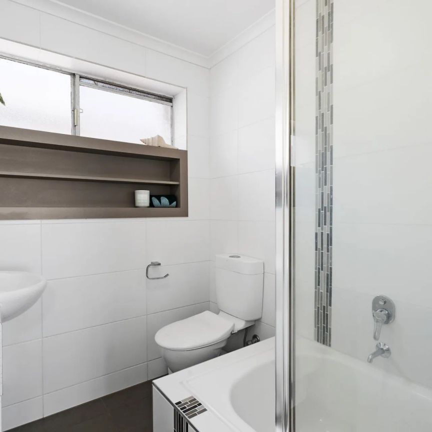 Renovated and Light-filled Apartment in the Perfect Location! - Photo 1