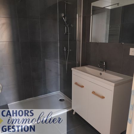 Location Appartement 2 pièces 30m² CAHORS 46000 - Photo 3
