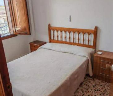 Oliva - Foto 5