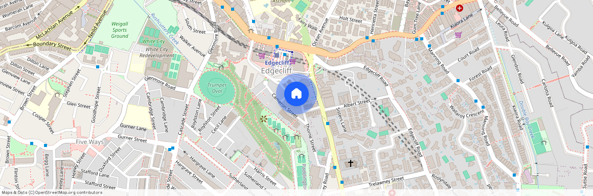 38 Great Thorne Street, NSW 2027, Edgecliff