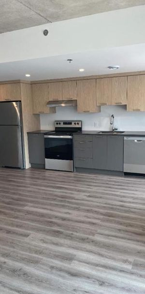 1 CH - 1 SDB - Terrebonne - $1,615 /mo - Photo 1