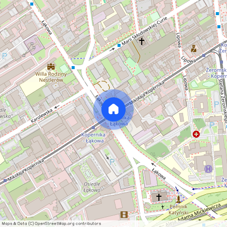 ul. Mikołaja Kopernika, Stare Polesie, Polesie, Łódź, łódzkie