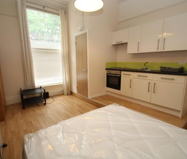 1 bedroom studio apartment to rent - Photo 2