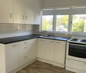 Water and lawn maintenance included - Photo 5