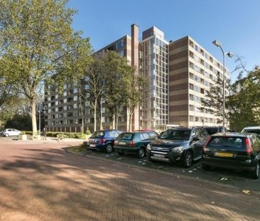 Fluitekruidweg 0ong, 1508 Zaandam, Nederland - Photo 3