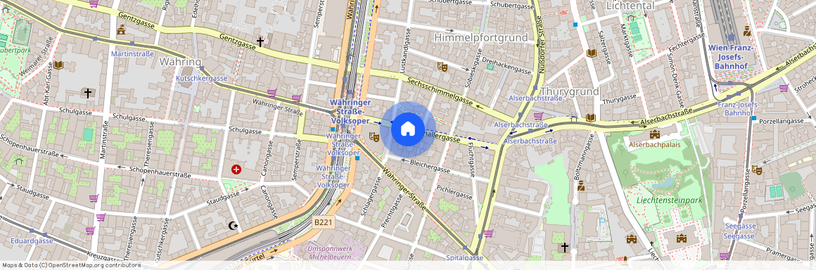 1090 Wien, Fuchsthallergasse 15 Top 13