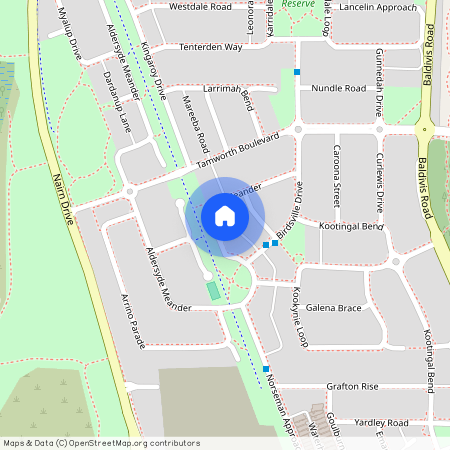 17 Aldersyde Meander, Baldivis WA 6171