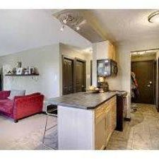 DT Calgary - Connaught Area Condo for Lease - Photo 4