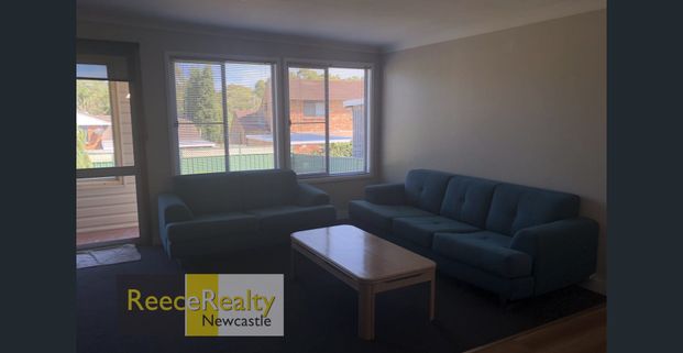 Convenience Plus - Photo 1