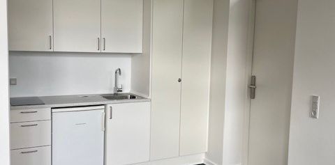 Dejlig 1-værelses lejemål i Ringe - Photo 2