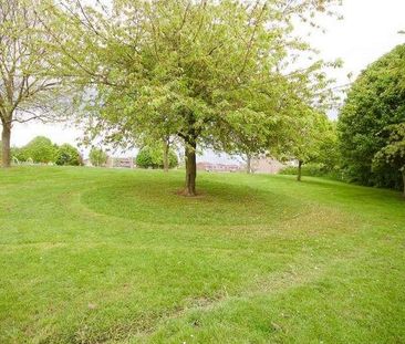 Cornflower Drive, Springfield, Chelmsford, CM1 - Photo 3