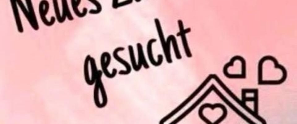 Ein 4 Zimmer Wohnung in Rottweil gesucht - Photo 1