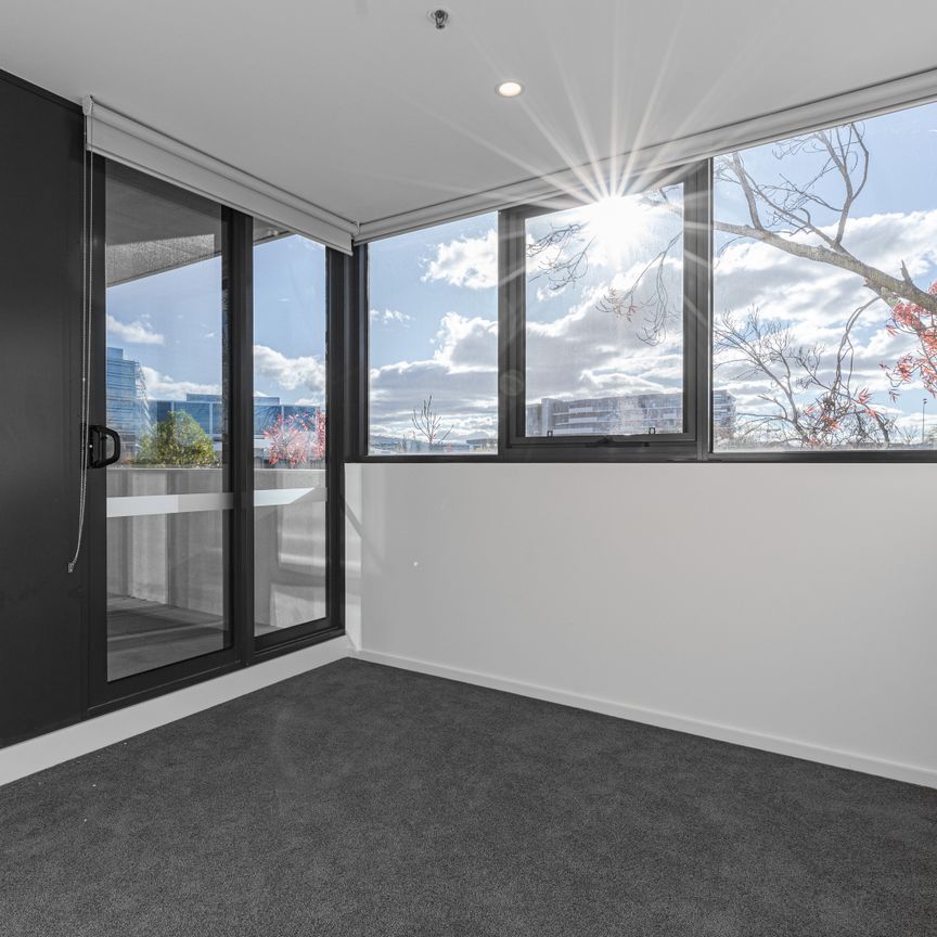 426/55 Currong Street North, Braddon ACT 2612 - Apartment For Rent | Domain - Photo 1