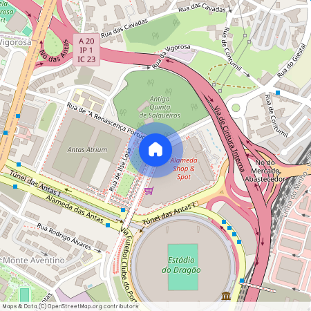 Rua Professor Manuel Baganha, Porto, Braga 4350-009