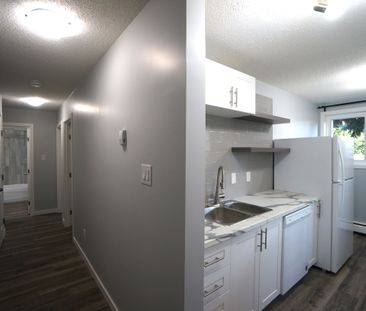 AMAZING newly reno'd Apartment in Lacombe! CATS OK! - Photo 1