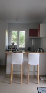 Location Appartement 1 Pièce 27 m² - Photo 3