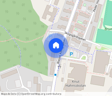 Blasius Königsgatan 30 A - Foto 1