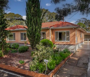14 Cawthorne Avenue, Pasadena SA 5042 - House For Rent | Domain - Photo 1