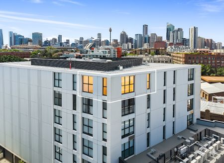 1105/89 Bay Street, Glebe NSW 2037 - Apartment For Rent | Domain - Photo 4