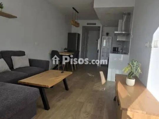Piso en alquiler en Huelin-La Princesa-Jardín de La Abadía - Foto 1