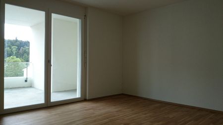 2.5 Zimmer, EG - Photo 5