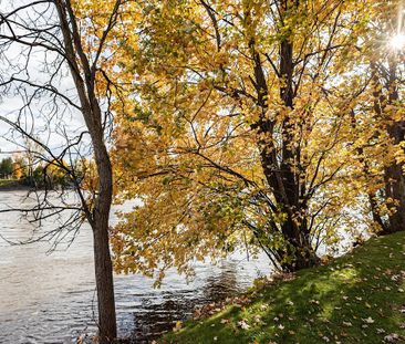 Domaine Bellerive Apartments - Photo 3