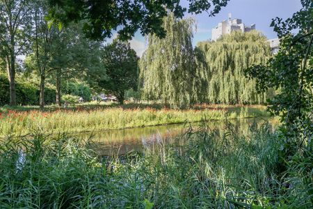 Parkzicht, 33, Leiden - Foto 5