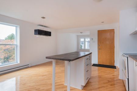 36 20e Avenue, Montréal (Lachine), QC H8S - Photo 5