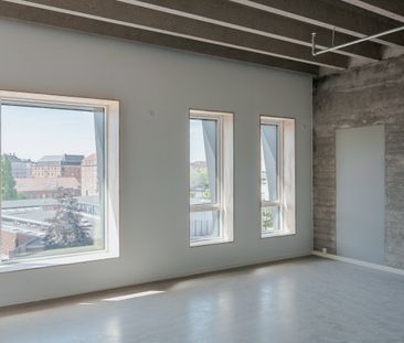 Lyst studio med plads til det hele - Photo 6