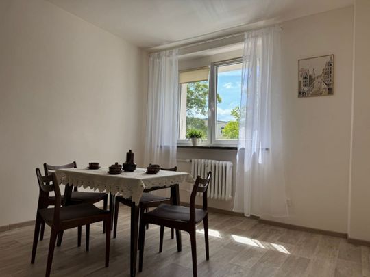 Drzewa za oknem, 2 pokoje, oddzielna kuchnia 43.4 m² - Zdjęcie 1