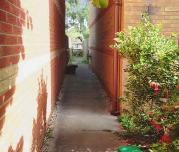 2 bedroom semi-detached house to rent - Photo 5