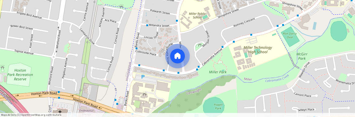 99 Miller Road, NSW 2168