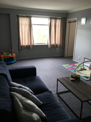 Cute Two Bedroom Apartment on Grange Road - Otumoetai - Photo 1