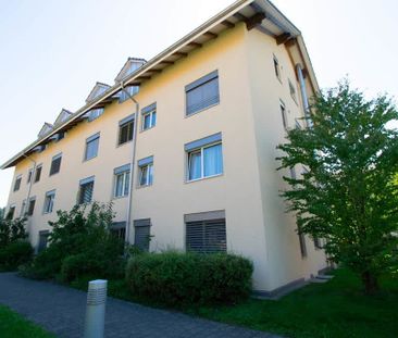 2.5 Zimmer, 53 m², 1. Stock - Foto 6